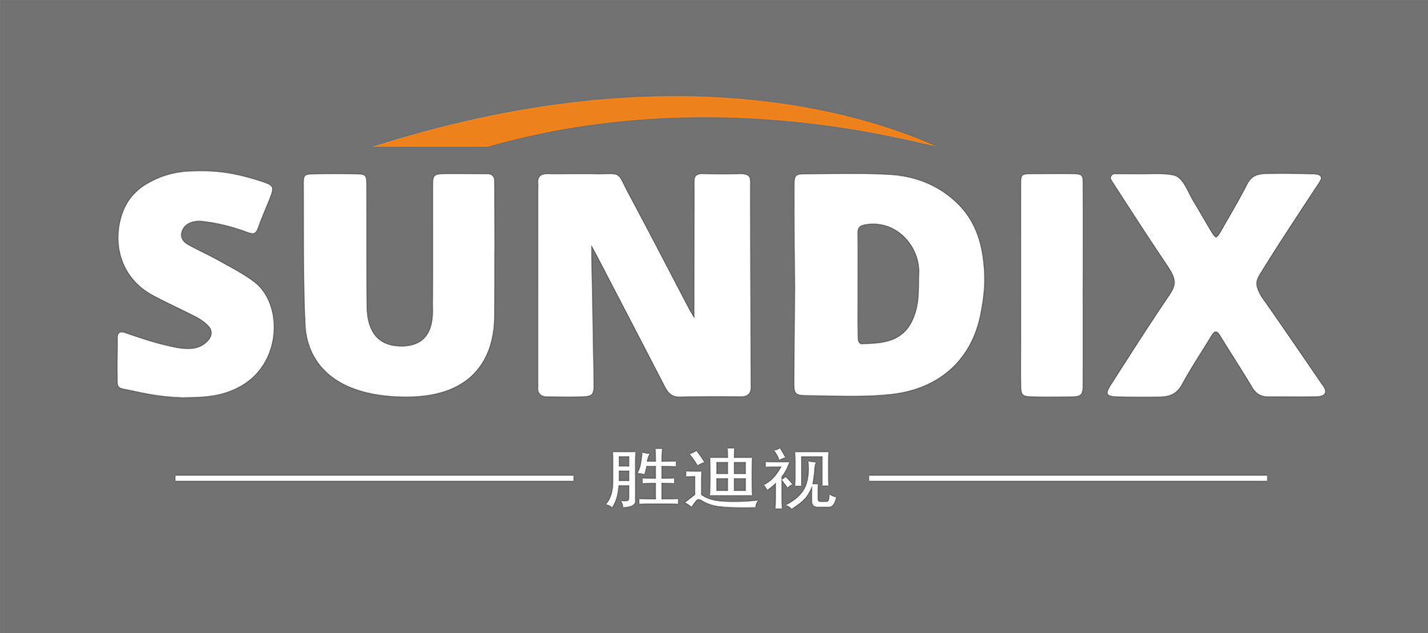 勝迪視（SUNDIX）品牌logo