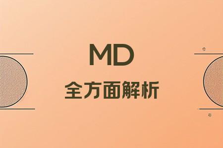 MD全面解析