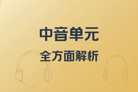 中音單元全面解析