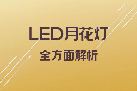 LED月花燈全面解析