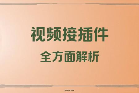 視頻接插件全面解析