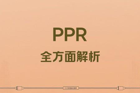 PPR全面解析