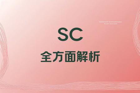 SC全面解析