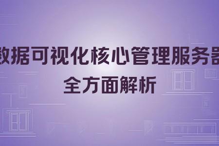 數(shù)據(jù)可視化核心管理服務(wù)器全面解析封面