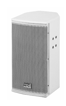 TDS TS106( 两分频 6.5 寸 全音域音箱 )产品图
