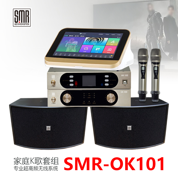 SMR-HQ10家庭ktv音响套装全套家用卡拉ok歌专用音箱设备功放点歌产品图