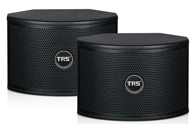 TRS OK-363两分频三单元6.5寸环绕音箱产品图