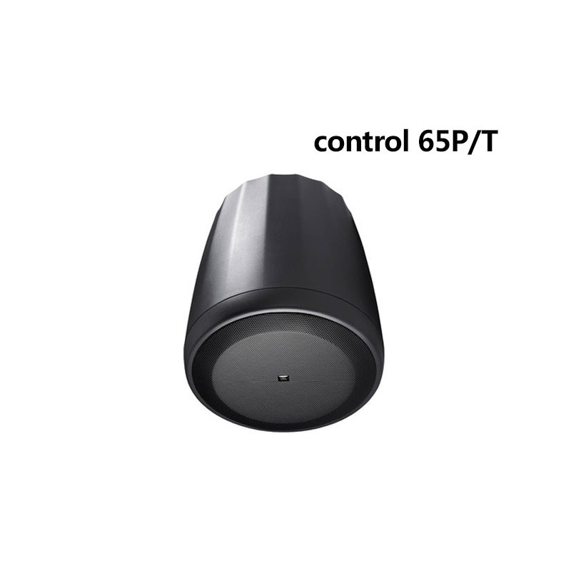 JBL CONTROL65P/T产品图片
